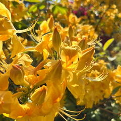 23-06-03 16-39-02 5789